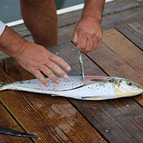 2023 Ducks Unlimited Band the Billfish Tournament