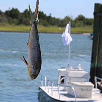 2024 Ducks Unlimited Band the Billfish Tournament