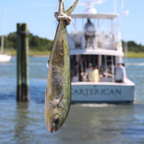 2024 Ducks Unlimited Band the Billfish Tournament