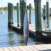 2024 Ducks Unlimited Band the Billfish Tournament