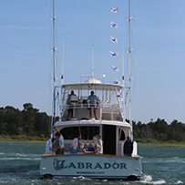 2025 Ducks Unlimited Band the Billfish Tournament