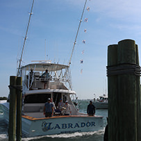 2025 Ducks Unlimited Band the Billfish Tournament