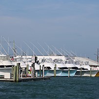 2025 Ducks Unlimited Band the Billfish Tournament