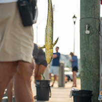2026 Ducks Unlimited Band the Billfish Tournament