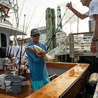 2026 Ducks Unlimited Band the Billfish Tournament