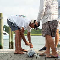 2026 Ducks Unlimited Band the Billfish Tournament