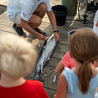 2026 Ducks Unlimited Band the Billfish Tournament