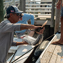 2026 Ducks Unlimited Band the Billfish Tournament