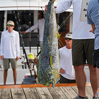 2026 Ducks Unlimited Band the Billfish Tournament