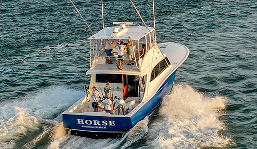 Horse