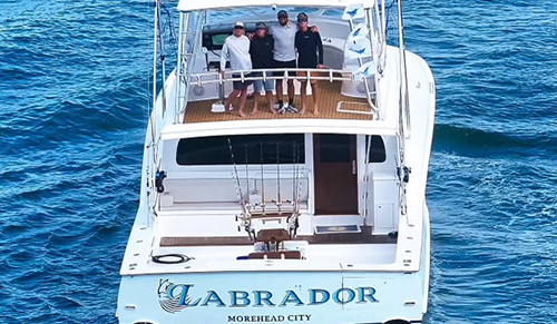 Labrador