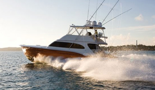Marlin Fever