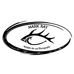 Mark Ray Wildlife Images
